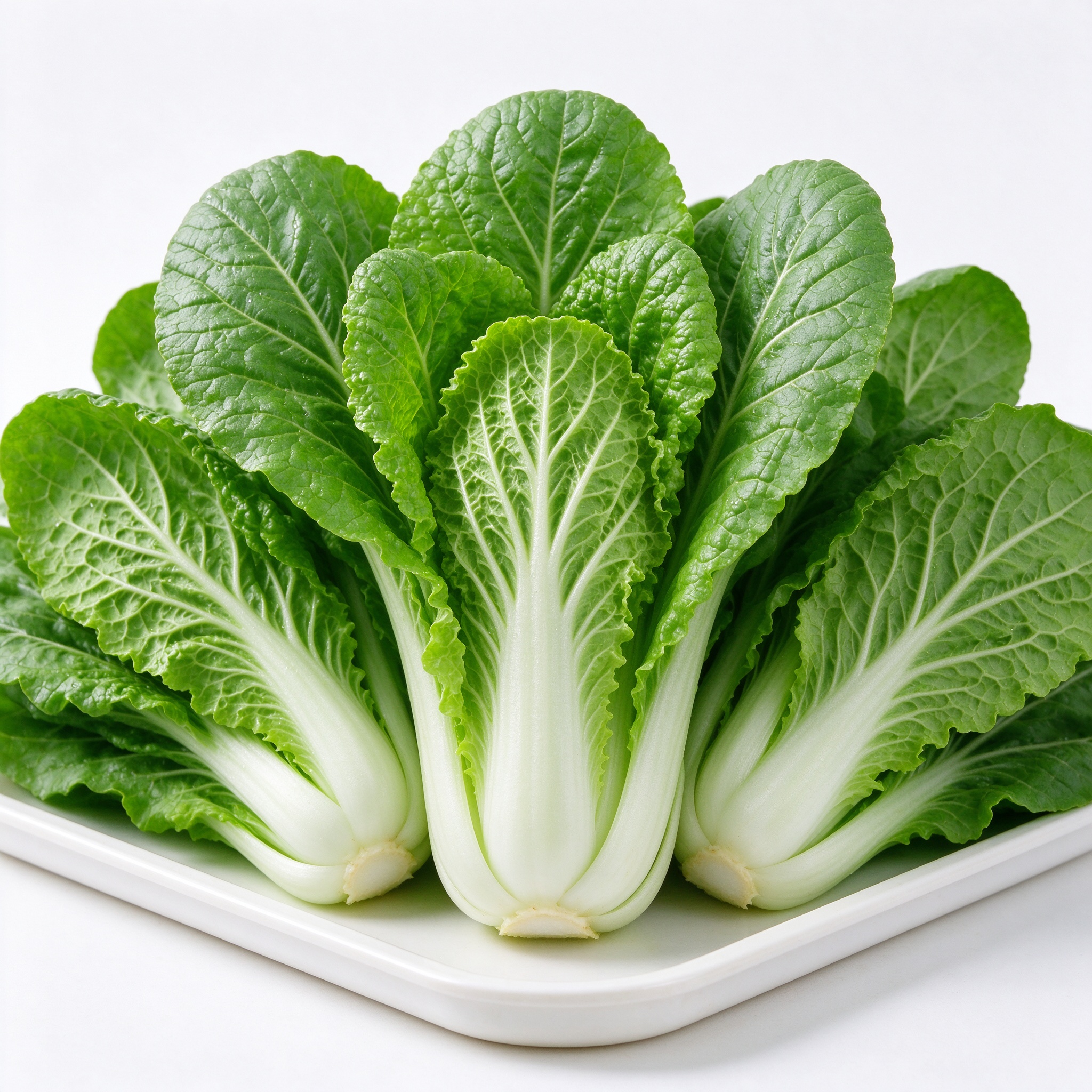 小白菜 新鲜蔬菜 尧小兔