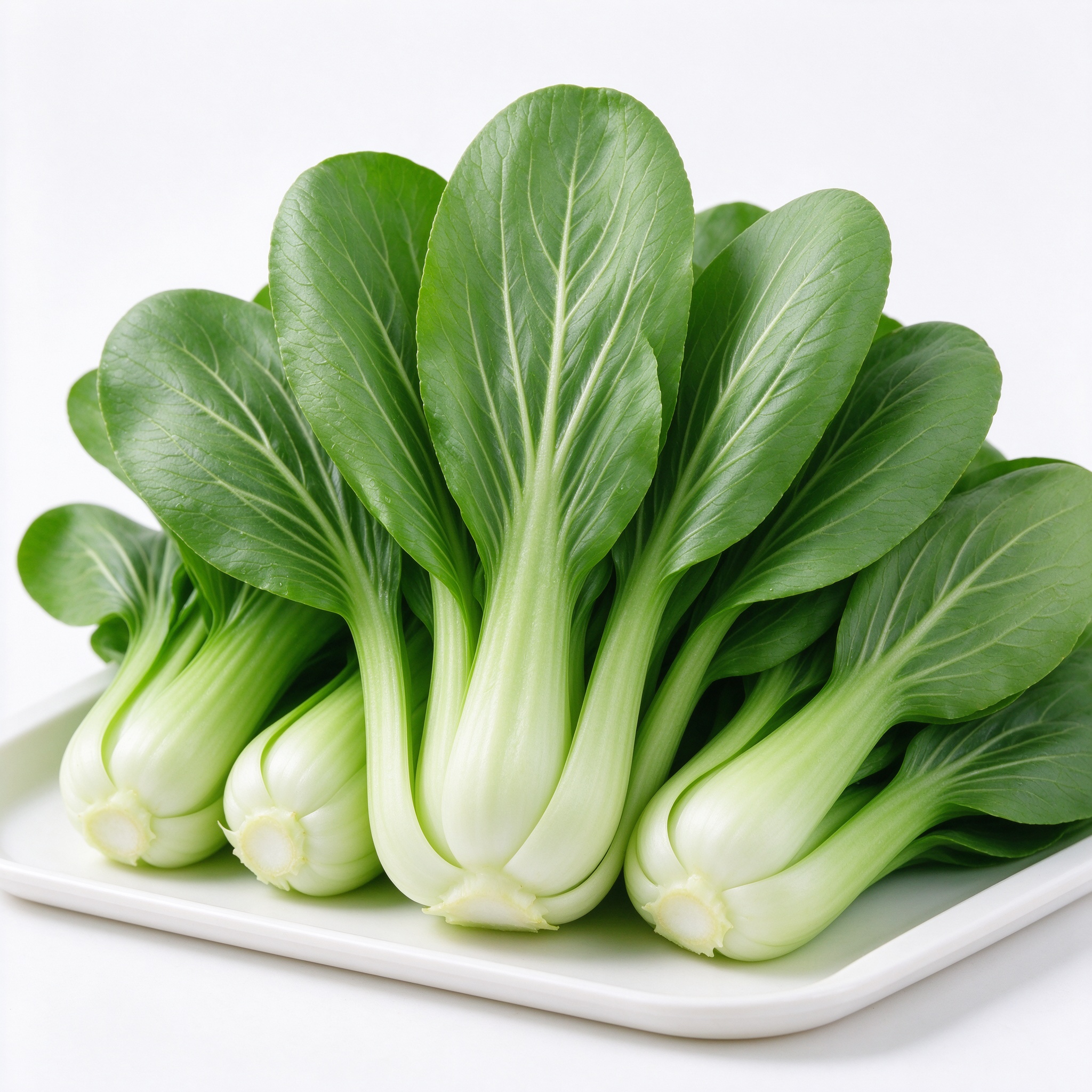 上海青 新鲜蔬菜 尧小兔