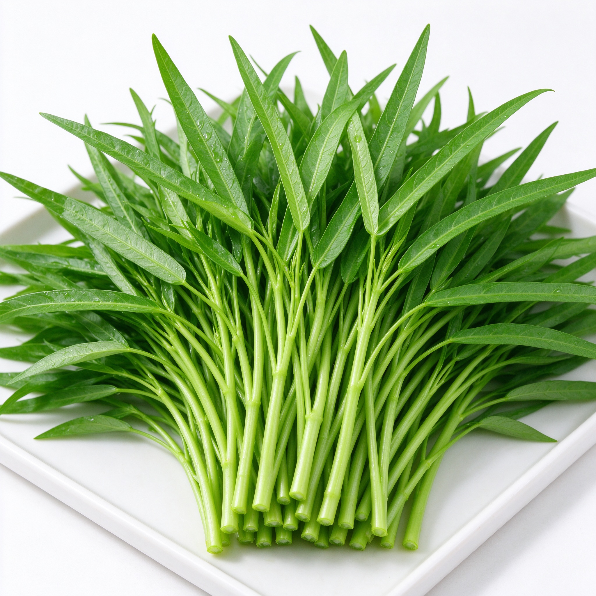 空心菜 新鲜蔬菜 尧小兔